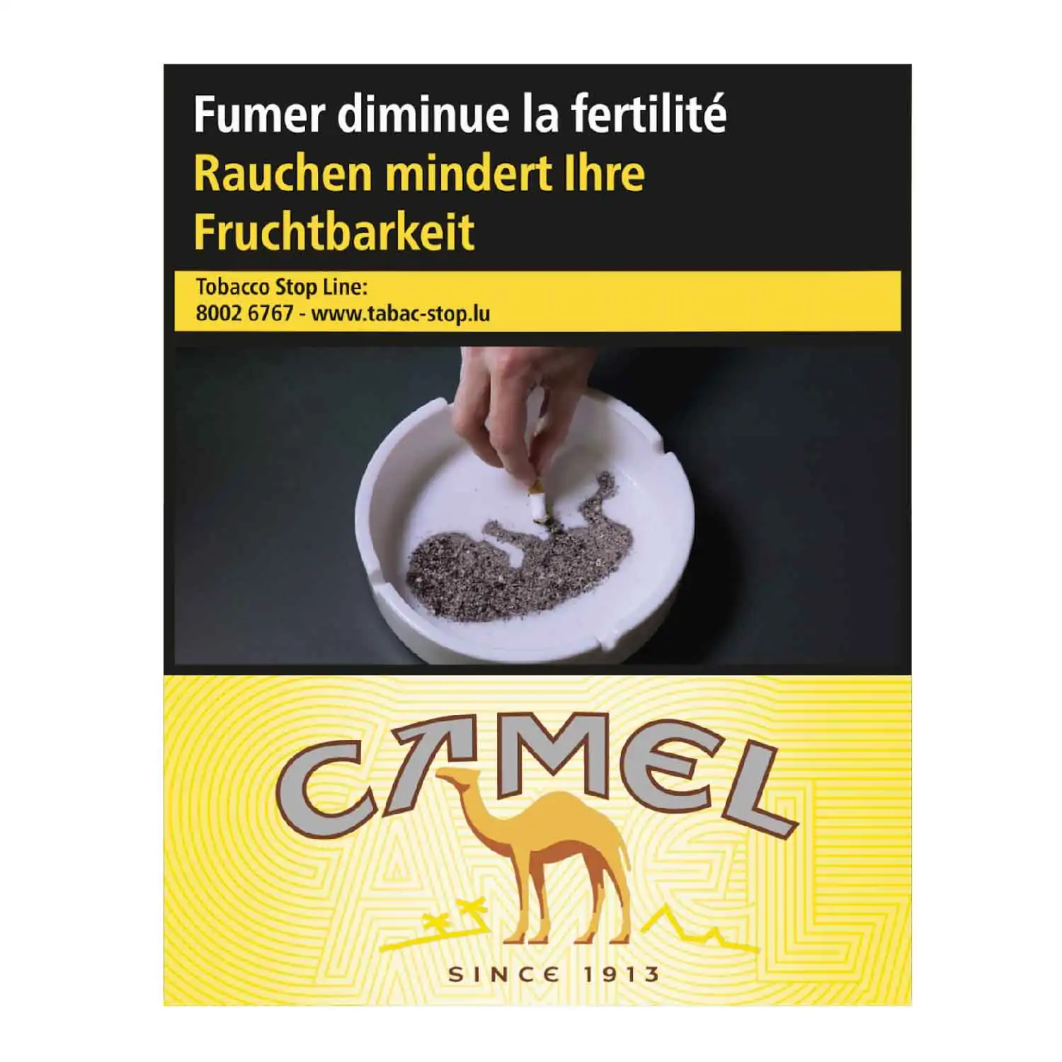 Camel jaune 25 (M) - Buy at Real Tobacco